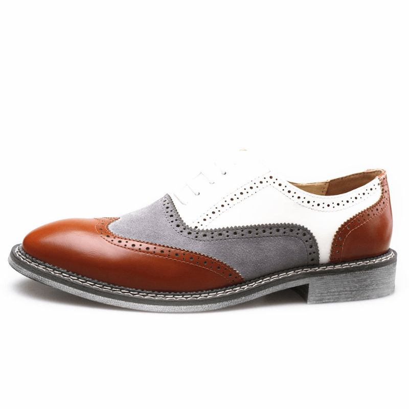 Mænd Brogue Colorblock Oxfords Snøre Business Casual Formelle Sko