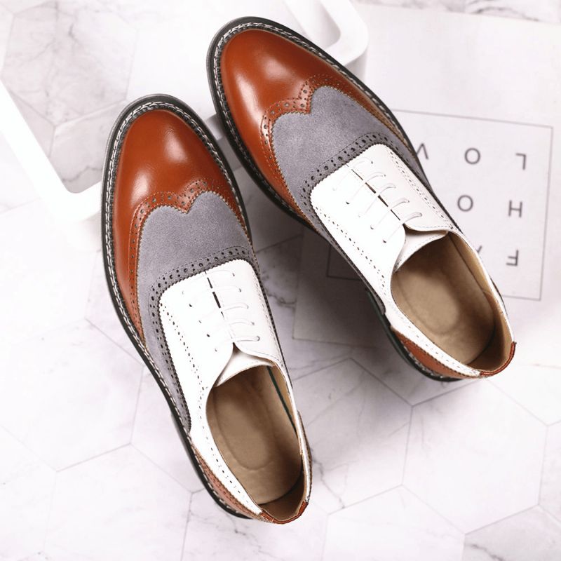 Mænd Brogue Colorblock Oxfords Snøre Business Casual Formelle Sko